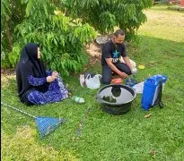 Jasa Tanaman Kelengkeng Berkualitas 
