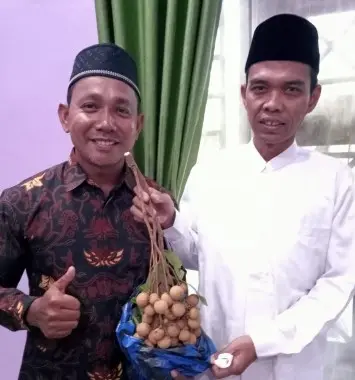 Konsultan Tanaman Kelengkeng New Kristal 